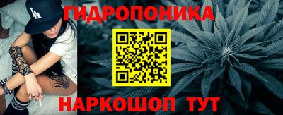 PSILOCYBIN Кунгур