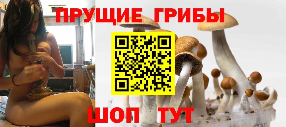 Зеленодольск  где купить   Вход с VPN  Галлюциногенные грибы MAGIC MUSHROOMS 